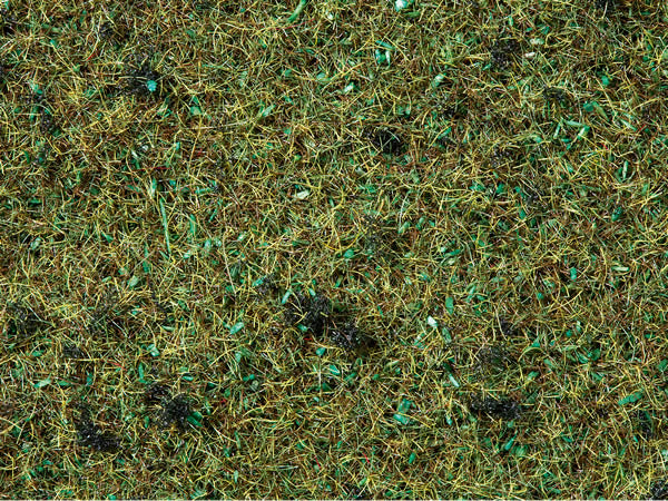 Noch 8350 All Scale Scatter Material -- Forest