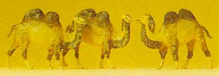 Preiser 79711 N Scale Animals -- Camels