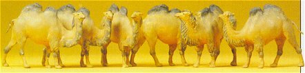 Preiser 20383 HO Scale Animals -- Camels (Bactrian, 2 Humps) pkg(6)