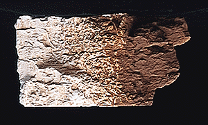 Woodland Scenics 1222 All Scale Earth Colors Liquid Pigment(TM) - 4oz 118mL Bottle -- Burnt Umber