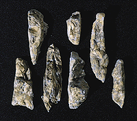 Woodland Scenics 1233 All Scale Rock Molds - 5 x 7" 12.7 x 17.7cm -- Embankments