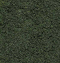 Woodland Scenics 148 All Scale Bushes Clump-Foliage 18 cu.in. -- Forest Green
