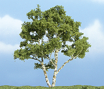 Woodland Scenics 1601 All Scale Ready Made Premium Trees(TM) - Deciduous -- Birch - 3-7/8" 9.8cm