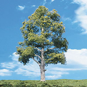 Woodland Scenics 3538 All Scale Woodland Classic Trees(R) Ready Made - Waters Edge -- 7 to 8" 17.7 to 20.3cm Tall pkg(2)