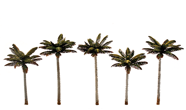 Woodland Scenics 3597 All Scale Small Palm Trees - Woodland Classics(TM) Ready Made Trees(TM) -- 3 to 3-3/4" 7.6 to 9.5cm pkg(5)