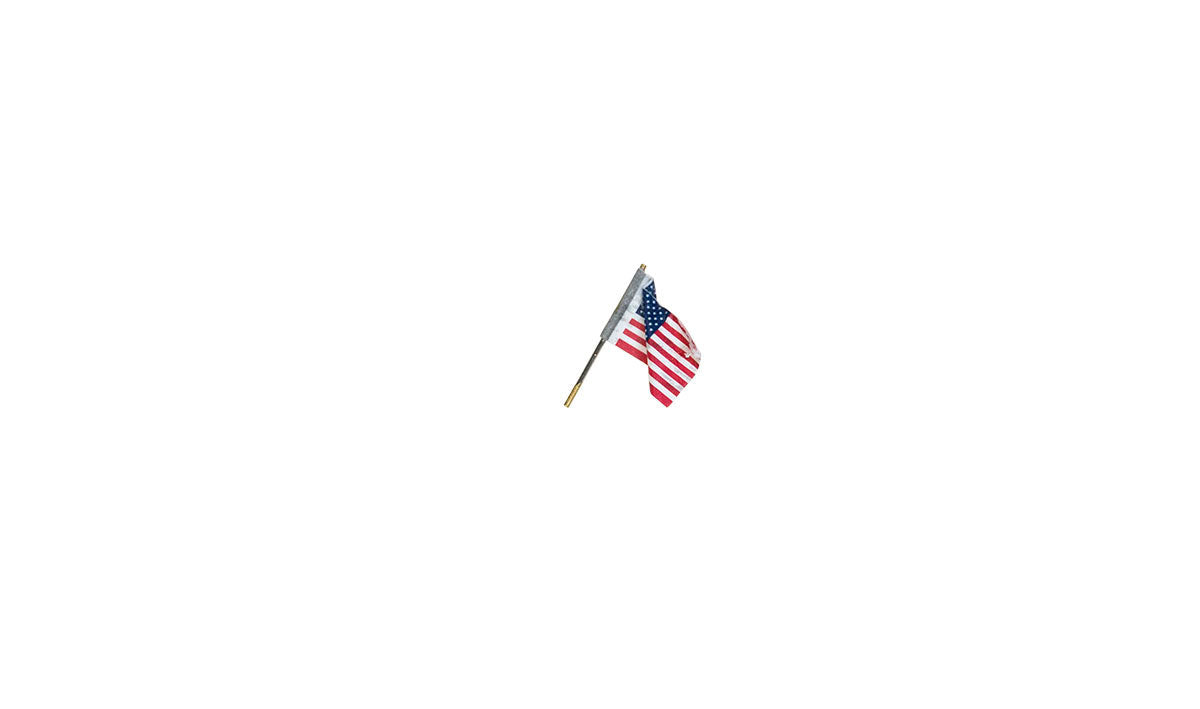 Woodland Scenics 5953 All Scale Wall-Mount U.S. Flag - Just Plug(TM) -- Small - 1/2" 1.3cm