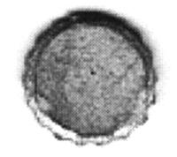 BTS (Better Than Scratch) 689 S Scale Bottle Cap Sign