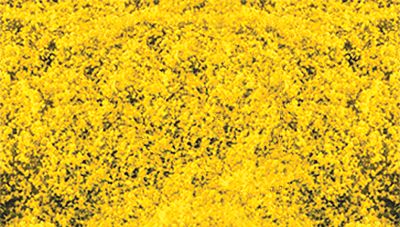 Heki Mini Forest 1589 All Scale Decograss(R) Pad 11 x 5-1/2" 28 x 14cm -- Goldenrod