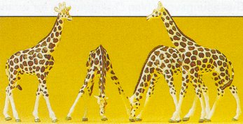 Preiser 79715 N Giraffes (4)