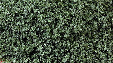 Scenic Express 6152 All Scale SuperLeaf Scale Model Leaf Flake 16oz Shaker -- Olive Green