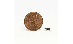 All Scale Miniatures 1600807 N Pigs 5-Pack