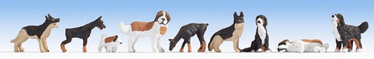 Noch 36717 N Scale Dogs pkg(9)