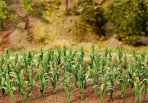 Faller 181250 A Scale Corn Stalks -- Kit pkg(36)