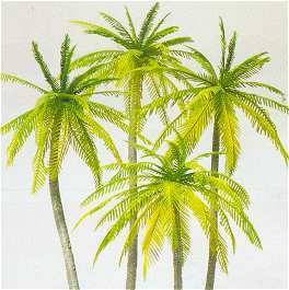 Preiser 18600 HO Scale Palm Trees -- pkg(4)