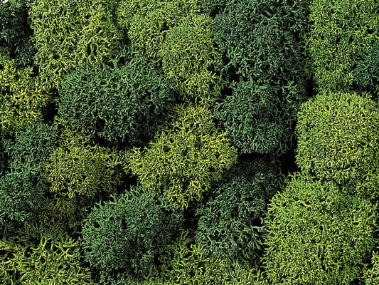 Noch 8610 All Scale Lichen Single Pack - 1oz 28.3g -- Assorted Green