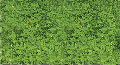 Heki Mini Forest 1554 All Scale Foliage Pad - 11 x 5-1/2" Spring Green