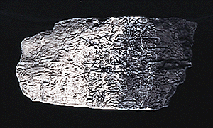 Woodland Scenics 1220 All Scale Earth Colors Liquid Pigment(TM) - 4oz 118mL Bottle -- Black