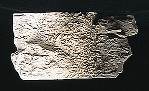 Woodland Scenics 1221 All Scale Earth Colors Liquid Pigment(TM) - 4oz 118mL Bottle -- Raw Umber