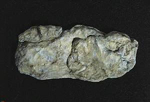 Woodland Scenics 1242 All Scale Rock Molds -- Washed Rock
