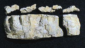 Woodland Scenics 1243 All Scale Rock Molds -- Base Rock