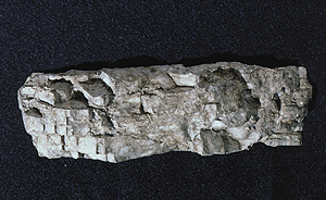 Woodland Scenics 1244 All Scale Rock Molds -- Facet Rock