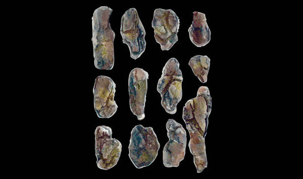 Woodland Scenics 1246 All Scale Creek Bed Rocks Rock Mold