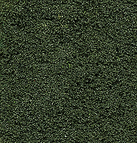 Woodland Scenics 138 All Scale Underbrush Clump-Foliage 18 cu.in. -- Forest Green