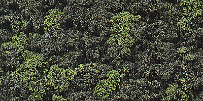 Woodland Scenics 139 All Scale Underbrush Clump-Foliage 18 cu.in. -- Forest Blend
