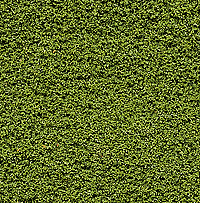 Woodland Scenics 145 All Scale Bushes Clump-Foliage 18 cu.in. -- Light Green