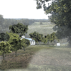 Woodland Scenics 1570 All Scale Mixed Green Deciduous Tree Pack - Ready Made Trees(TM) -- 3/4 to 2" 1.9 to 5.1cm pkg(38)