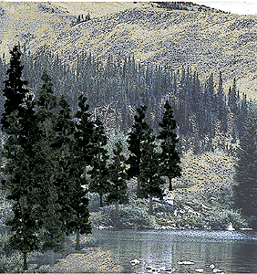 Woodland Scenics 1581 All Scale Coniferous Tree Pack - Ready Made Trees(TM) -- 4 to 6" 10.2 to 15.2cm pkg(24)