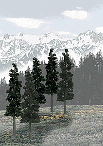 Woodland Scenics 1582 All Scale Coniferous Tree Pack - Ready Made Trees(TM) -- 6 to 8" 15.2 to 20.3cm pkg(12)