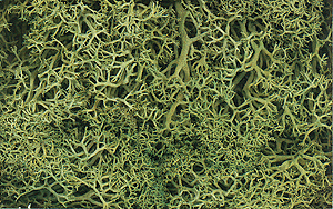Woodland Scenics 162 All Scale Lichen - 1.5qts 1.4L -- Light Green