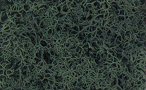 Woodland Scenics 164 All Scale Lichen - 1.5qts 1.4L -- Dark Green