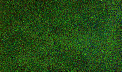 Woodland Scenics 41 All Scale Fine Turf - 18 Cubic Inches 295 Cubic Centimeters -- Soil