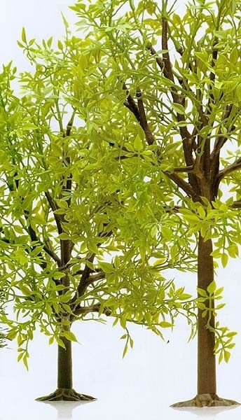 Busch 8601 A Scale Deciduous Tree #1 w/Plastic Leaves -- 11" 28cm Tall - For O & G Scales