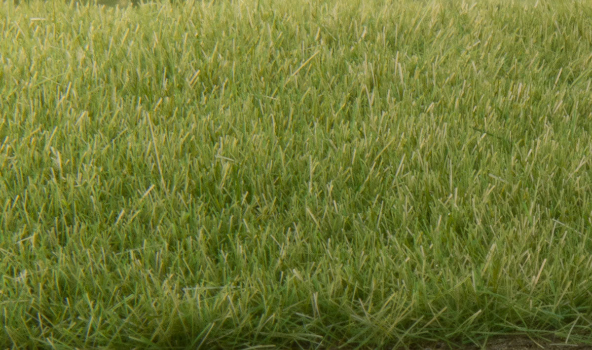 Woodland Scenics 618 All Scale Static Grass - Field System -- Medium Green 1/8" 4mm Fibers