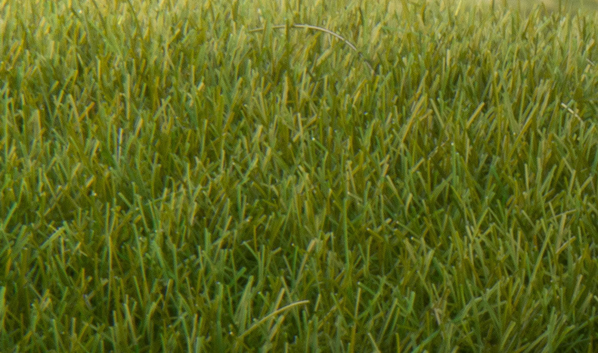 Woodland Scenics 621 All Scale Static Grass - Field System -- Dark Green 1/4" 7mm Fibers