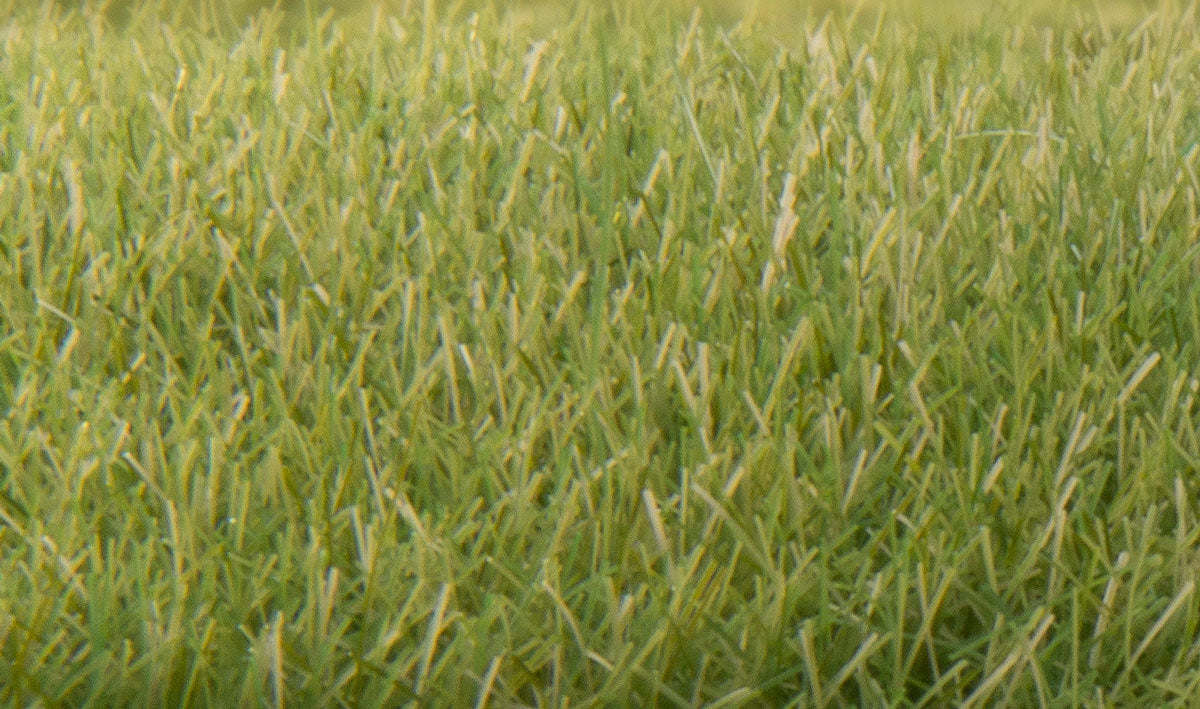 Woodland Scenics 622 All Scale Static Grass - Field System -- Medium Green - 1/4" 7mm Fibers