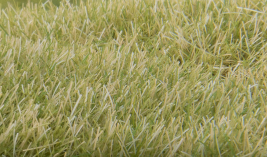 Woodland Scenics 623 All Scale Static Grass - Field System -- Light Green 1/4" 7mm Fibers