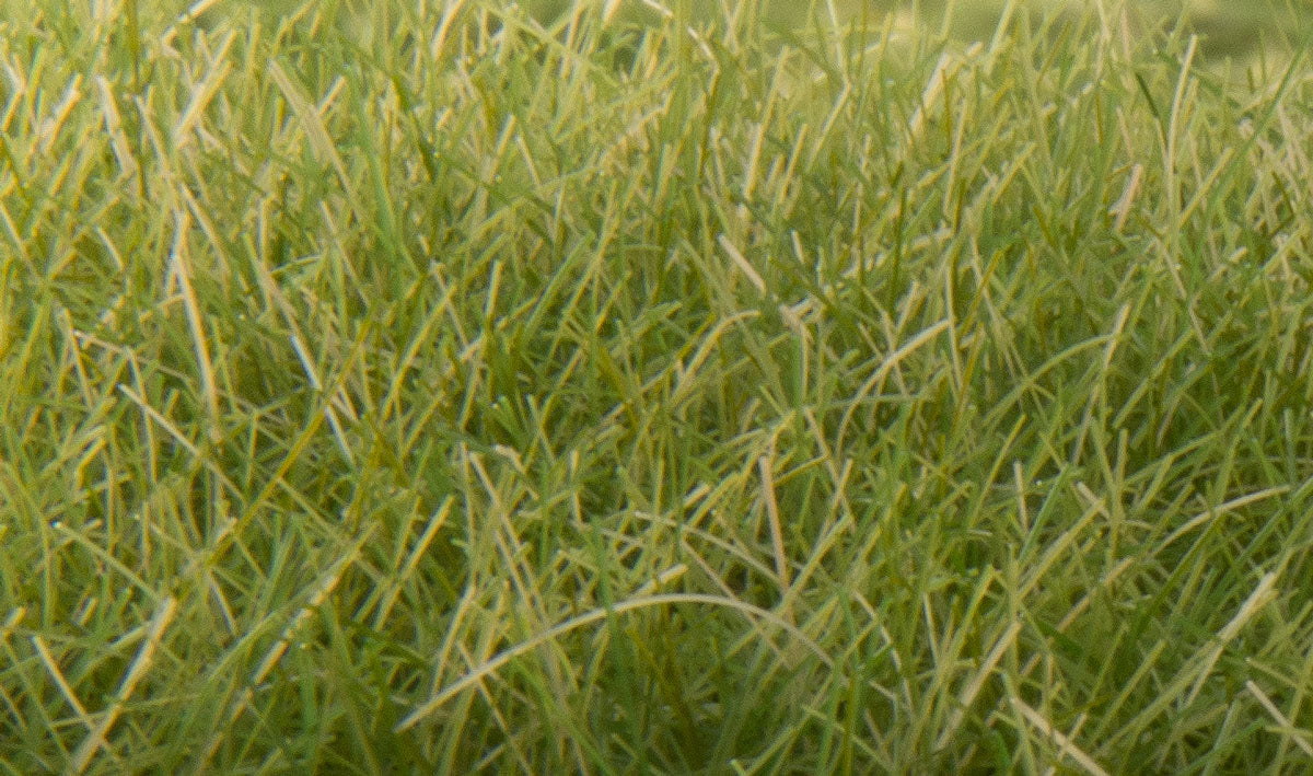 Woodland Scenics 626 All Scale Static Grass - Field System -- Medium Green 1/2" 12mm Fibers
