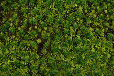 Bachmann 32922 All Scale Tufted Grass Sheet/Mat - SceneScapes(R) -- Medium Green 3/16" .5cm Tall Fibers, 11-3/4 x 7-1/2" 29.8 x 19.1cm Sheet