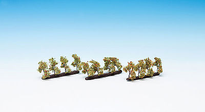 Noch 21532 All Scale Orchard Trees -- 1-3/8" 3.5cm Tall pkg(12)
