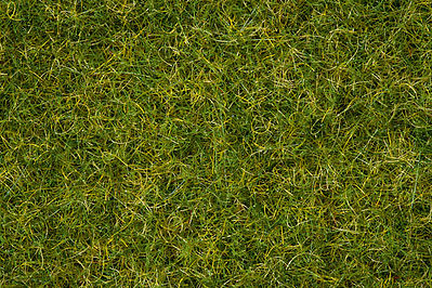 Noch 7076 All Scale Scatter Grass in 3-1/2oz 100g Plastic Tub -- Summer Meadow - Covers About 1 Square Yard/Meter