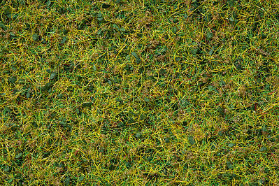 Noch 7077 All Scale Scatter Grass in 3-1/2oz 100g Plastic Tub -- Cow Pasture - Covers About 1 Square Yard/Meter