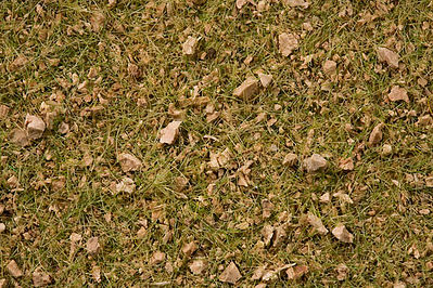 Noch 7079 All Scale Scatter Grass in 3-1/2oz 100g Plastic Tub -- Alpine Meadow Blend - Covers About 1 Square Yard/Meter