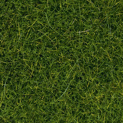 Noch 7094 All Scale Wild Grass - 1/4" .6cm Fibers in 3-1/2oz 100g Tub - Covers 1.2 Sq Yd 1 Sq m -- Dark Green