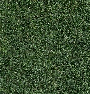 Noch 7102 All Scale Wild Grass - 1-3/4oz 50g -- Light Green
