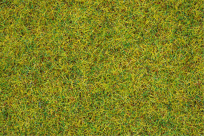 Noch 8151 All Scale Scatter Grass in 4-1/4oz 120g Plastic Tub -- Summer Meadow 1/8" .25cm Fibers - Covers About 1 Square Yard/Meter