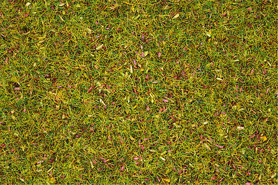 Noch 8155 All Scale Scatter Grass in 4-1/4oz 120g Plastic Tub -- Grass w/Flowers 1/8" .25cm Fibers - Covers About 1 Square Yard/Meter
